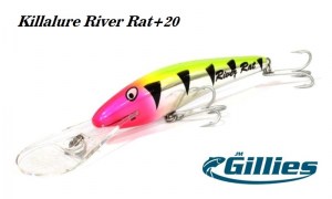 Gillies_Killalure_River_Rat_20