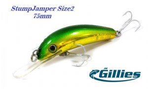 Gillies_Stumpjumper_Size2