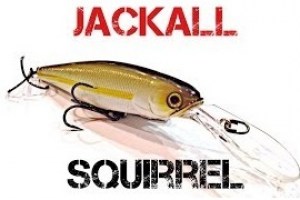 Jackall_Squirrel