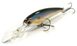 LUCKY_CRAFT_Staysee_60SP_270_MS_American_Shad