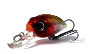 Anglers_Republic_Bug_Minnow_25MR_SCP444