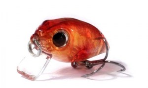 Anglers_Republic_Bug_Minnow_25SR_IK7