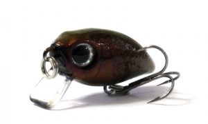 Anglers_Republic_Bug_Minnow_25SR_REYE5