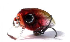 Anglers_Republic_Bug_Minnow_25SR_SCP448