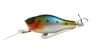 Ar_Lures_Minnow_D+55_016
