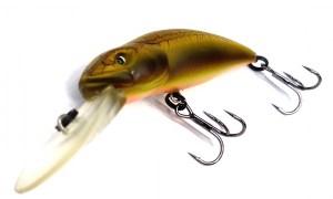 Asakura_Bullhead_6_dr-f_210_Lizard-