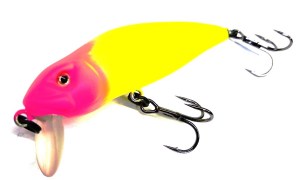 Asakura_Bullhead_6_sr-f_858_Clown