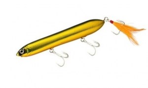 DEPS_Brachiostick_012