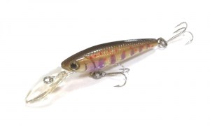 Daiwa_SC_Shiner_5SP_15_Brown_Trout6