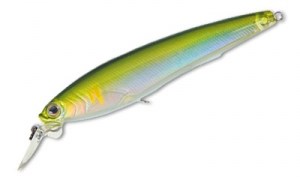 Duel_3D_Minnow_100SP_R725_MAY
