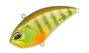 Duo_Realis_vibration_52_CCC3055