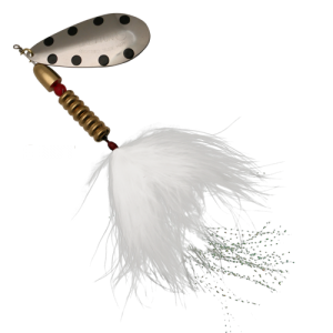 FISHYCAT_BRETTON_Maxi_7_SBDT
