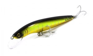Gillies_Classic_Bluewater_F18_120_2M_06_Yellow_tail