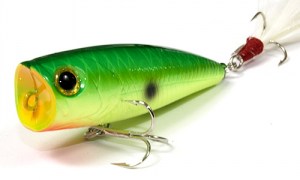 LUCKY_CRAFT_Bevy_Popper_111_Peacock