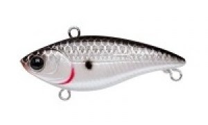 LUCKY_CRAFT_Bevy_Vibration_40S_077_Original_Tennessee_Shad