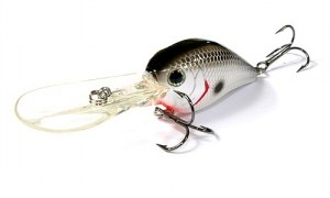 LUCKY_CRAFT_Flat_Mini_D6_077_Or_Tennessee_Shad