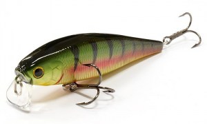 LUCKY_CRAFT_Pointer_100SSR_884_Aurora_Gold_Northern_Perch