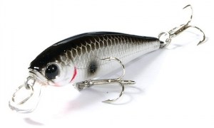 LUCKY_CRAFT_Pointer_48_SP_077_Oiginal_Tennessee_Shad