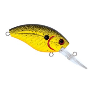 Livingston_Howeller_DMC_0912