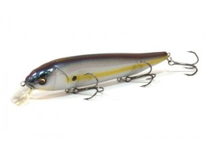 Megabass_Lates_Rattle_in_Megabass_sexy_shad