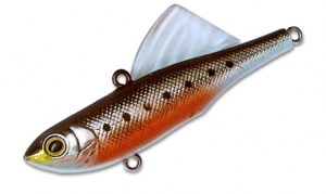 SAURUS_Vivra_SW_BL_Violet_Sardine_3168