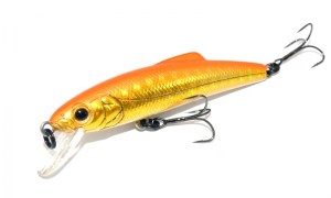 Tackle_House_Buffet_S55_03